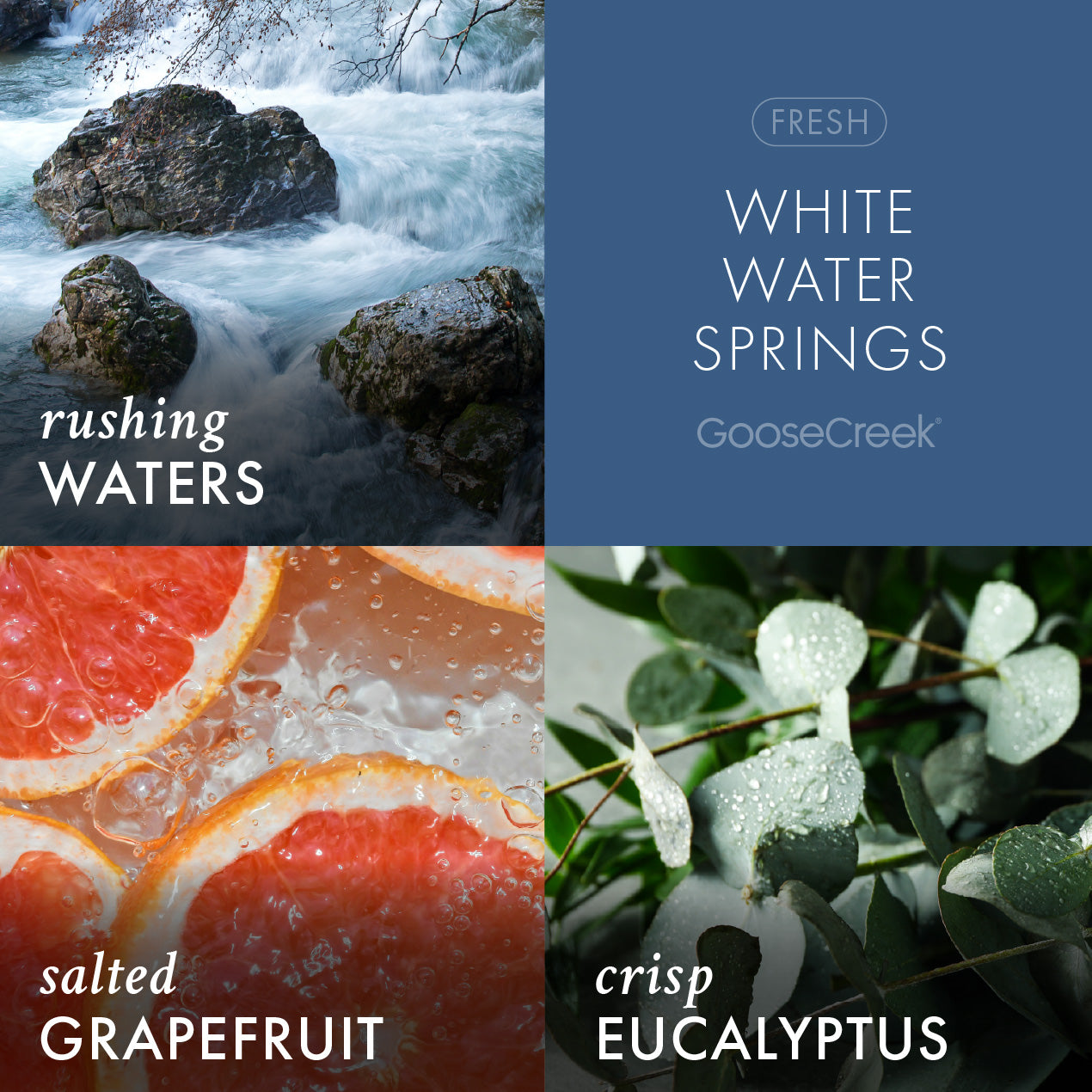 White Water Springs Lush Foaming Hand Soap - Image 2